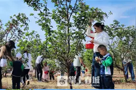 寻甸倘甸：“采摘+”促增收添游趣图片