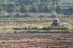 90后“兵支书”徐顺康：扎根乡村，带动千余农户增收致富图片