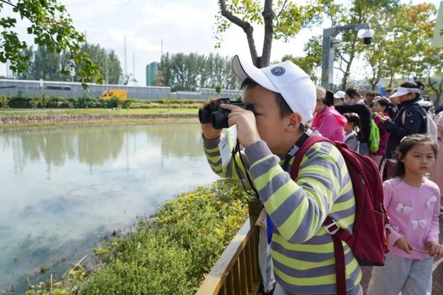 秋日限定“色卡”！来长宁“郊野公园”免费漫步赏景→