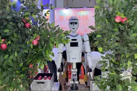 不被“机器狗之父”看好的人形机器人，未来要如何发展？图片