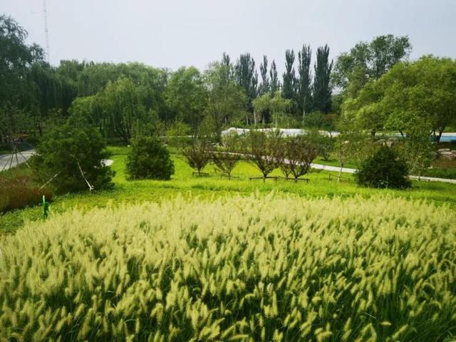 探秘王佐镇翡翠山公园