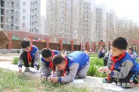 韭菜小麦不再分不清！德州学院附属小学在校园“育”见劳动之美图片