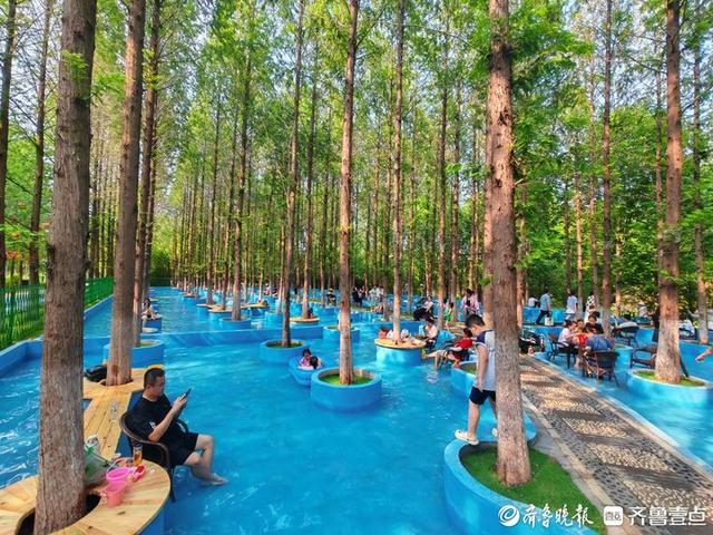体感直降5-6℃！来济南鲜花港景区水杉林清凉一夏