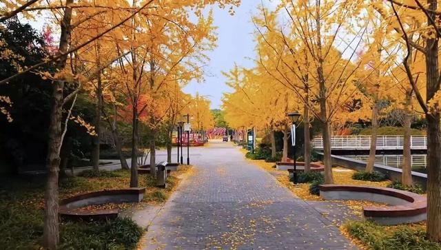 这些出片圣地，人少景美速收藏！