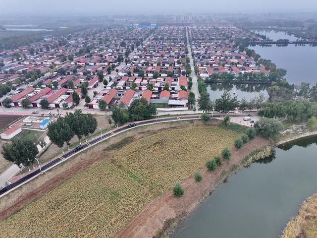 河北沧州：大运河堤顶路铺就美好生活新图景