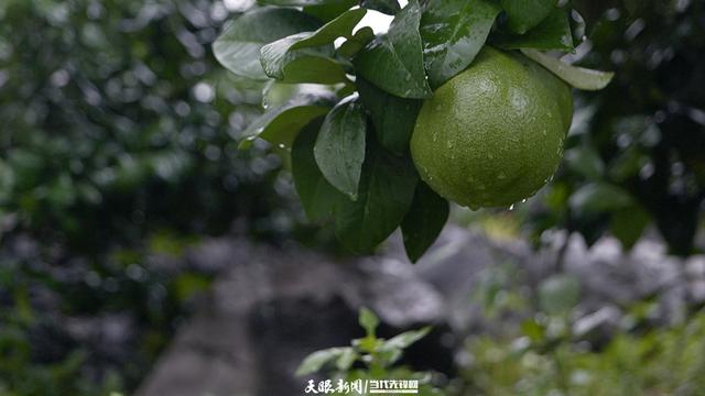 沿着公路找“彩蛋”③｜从路过到停下，这里是皮林村