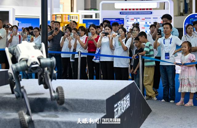 G视觉丨热度高涨！2025数博会：科技魅力吸引众人驻足