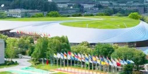 北京号最精彩｜赏菊+品宴！初冬的第一份浪漫就藏在这里→