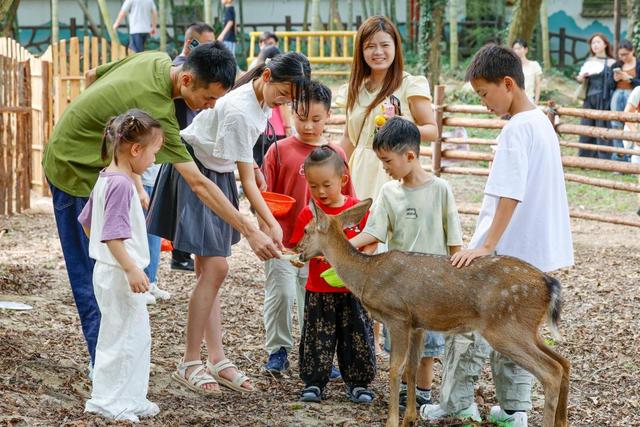 黄山市徽州区双节靠“三新”破局 解锁文旅融合新玩法​
