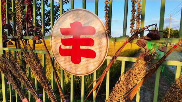 美哭！扬州稻田绝美秋景别错过～