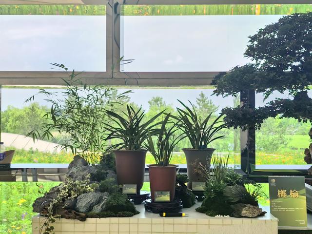 国家植物园“汉风植韵 万物共生”主题公园周在路县故城遗址公园启幕