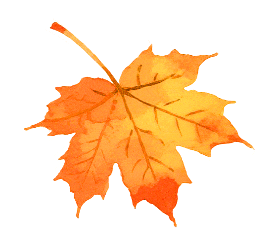 摘甜橙、赏红枫……龙岩初冬玩法上新