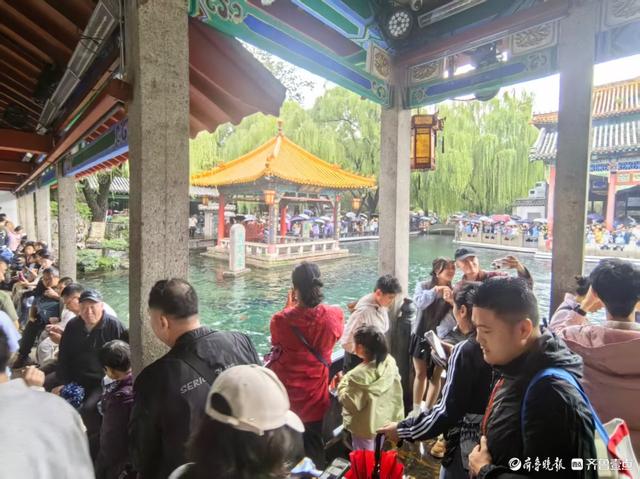 双节拍 | 雨中趵突泉，花伞簇泉人头攒动