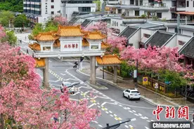 广州从化举办首届丝木棉节图片