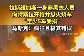 拉斯维加斯一身穿黑衣人员向特斯拉开枪并纵火烧车，“至少5车受损”图片