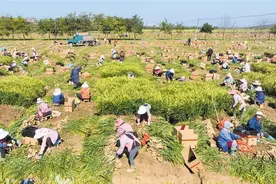 海纳百川方浩渺图片