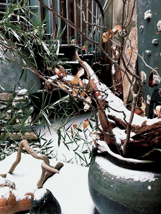 雪景美图来了！京郊赏雪宝藏线路，解锁冬日限时浪漫