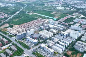 鹿泉追“光”图片