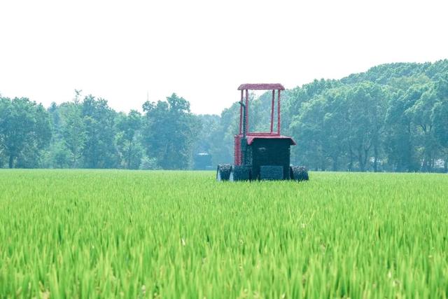 国庆遛娃好去处！能露营、能撒欢、还有巨型稻草熊