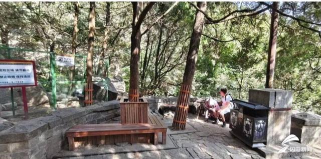 游客爬泰山有了休息驿站！泰山十二连盘微景观改造升级