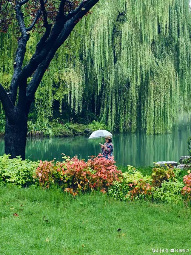 雨中漫步大明湖