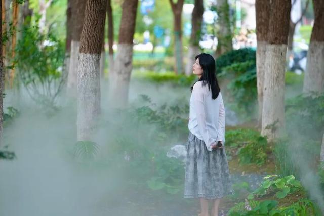 城市密林→童话森林！蜀山这片“雾森绿谷”美出圈
