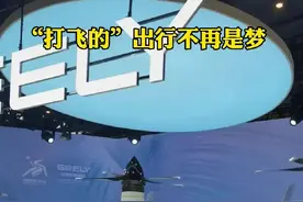 钻石飞机、飞行汽车、首发无人机、自动驾驶……数贸会打造未来出行全景图片
