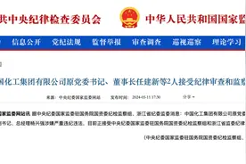 突发！化工巨头原董事长、原总经理同日被查！图片