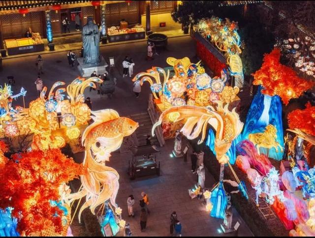 门东新“顶流”！一棵美到让全南京排队围观的树！