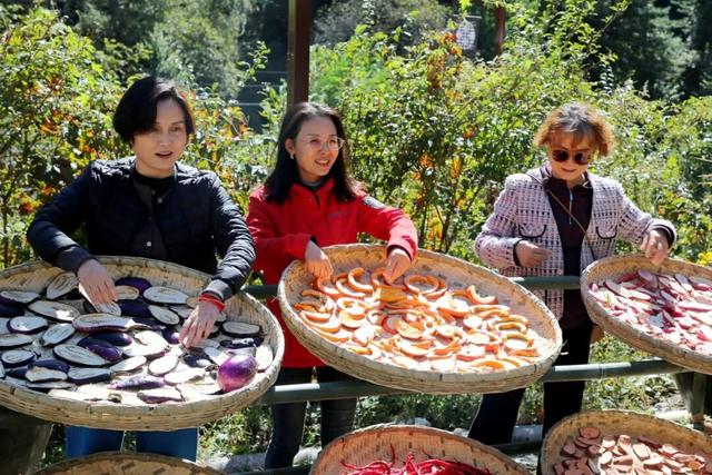 从“晒风景”到“晒生活”，看留坝如何以美学赋能叩开文旅发展新路径
