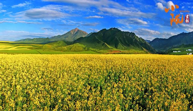【小陇画报·388期】民乐：田畴织锦绣 沃野好风光