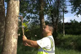 高温下的劳动者—公路养护工的“热辣滚烫”图片