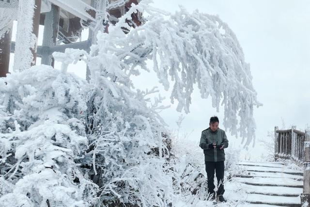 以雾凇为笔 绘武陵冬韵
