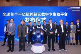 千亿级神经元数字孪生脑平台在沪发布，为治疗抑郁症等打开思路图片