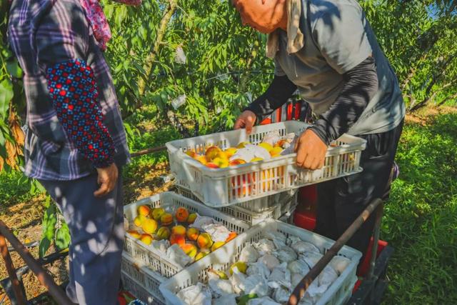 “水乡”村落、田园美食、诗意小院…打卡攻略来啦~