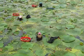 新华视点｜“小特产”撬动“大产业”：特色产业激活经济新动能图片