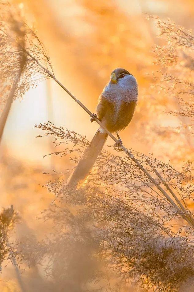 大雪了，你什么时候回盐城啊？