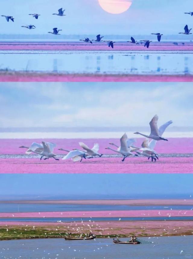 跟着课本游赣鄱！