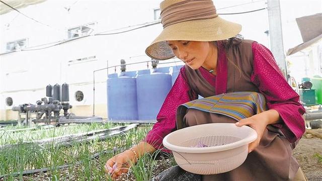 藏地匠心，沪上共赏：来第八届上海市对口地区特色商品展销会“寻味”日喀则