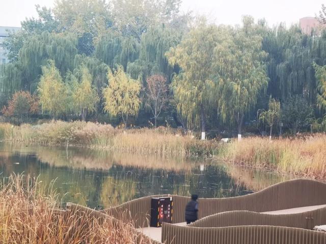 不必扎堆地坛公园！东城区赏秋攻略，一图收藏