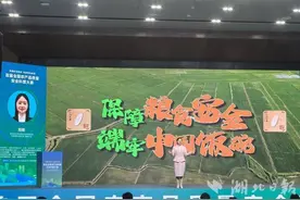 湖北在首届全国农产品质量安全科普大赛中喜获一等奖图片