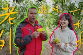 视频｜吃了这个“甜过初恋”的杨桃，“老外”狂飙潮州话图片