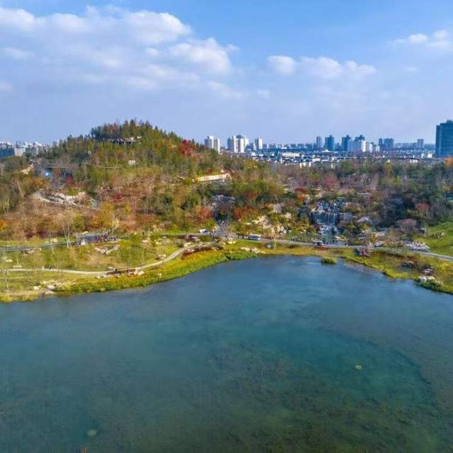 双子山轻登、巴士穿城、江河夜游，我们为你整理了一份上海秋色榜单｜沪上金秋进博榜