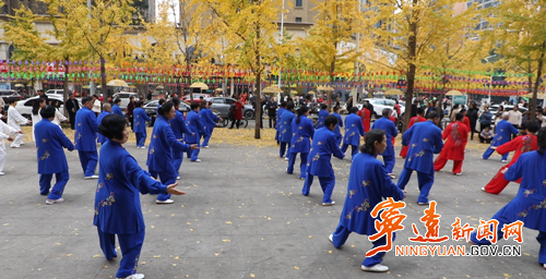 宁远：金黄银杏扮靓县城