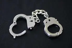 “内鬼”勾结竞争对手窃密，10万“好处费”出卖500万核心技术，获刑！图片