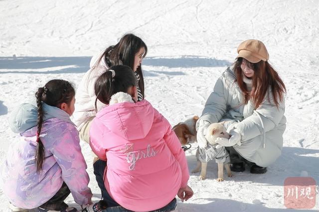 夹金山下滑雪！跟着大熊猫冬游雅安