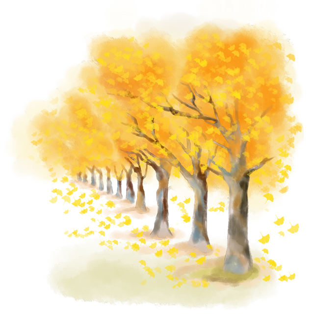 绝美！走，打卡去！