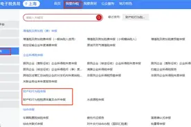 哪些税费可以享受“六税两费”减免优惠？如何填报减免税信息？图片