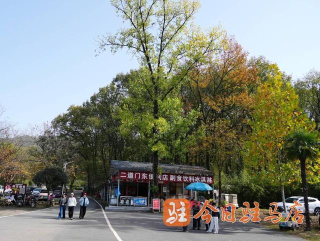 初冬金顶山：红叶染层林 漫山披盛装