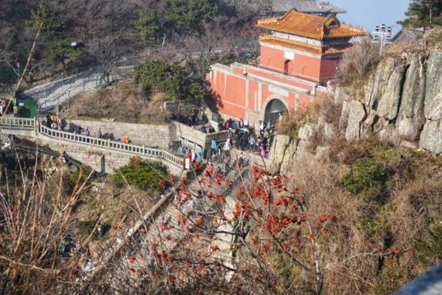 泰山的秋信：半穹澄蓝，半岭楸红